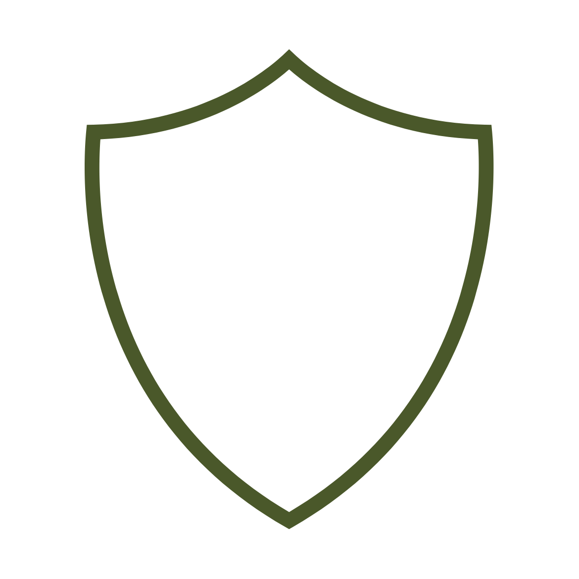 Alt Image