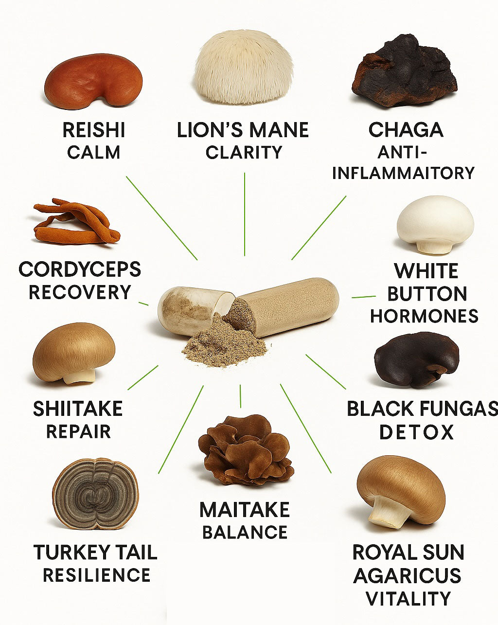 Reishi Night Essentials - Reishi Therapy