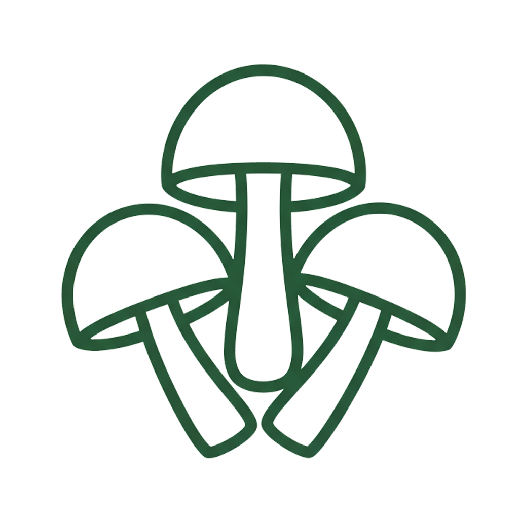 Alt Image